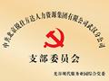 经上级党组织批复 锐仕方达集团武汉分公司党支部正式成立