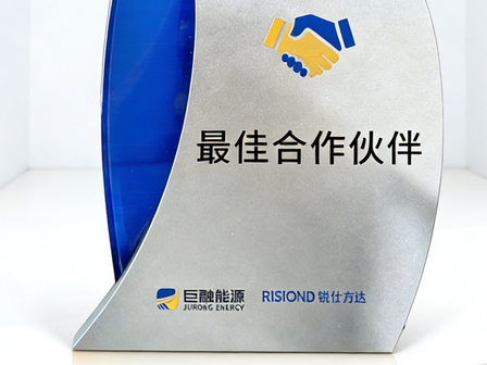 巨融能源2025年最佳合作伙伴
